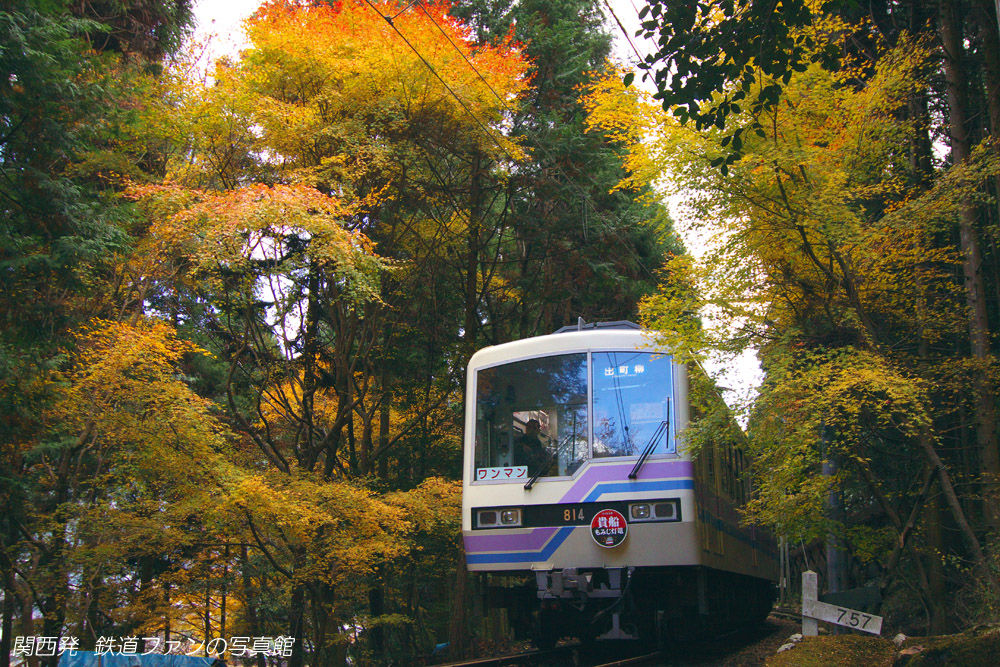 関西発 鉄道ファンの写真館　撮影地ガイド叡山電鉄　二ノ瀬 (4)  ～色づいた森の中を～コメント