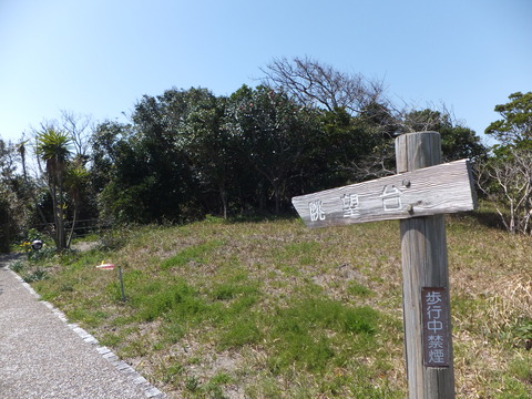 DSCF5795