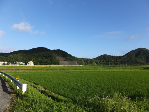 DSCF8978