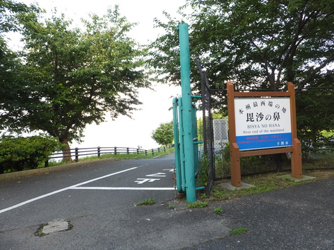 DSCF8994