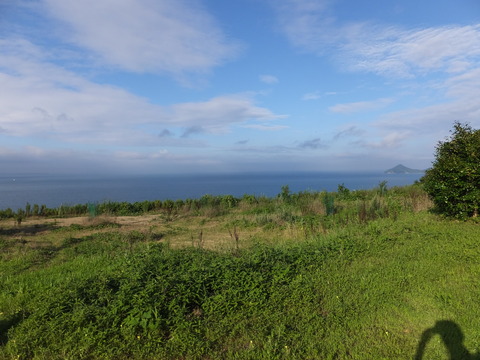 DSCF9001