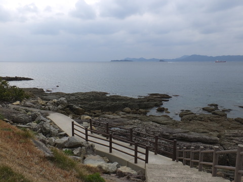 DSCF2630
