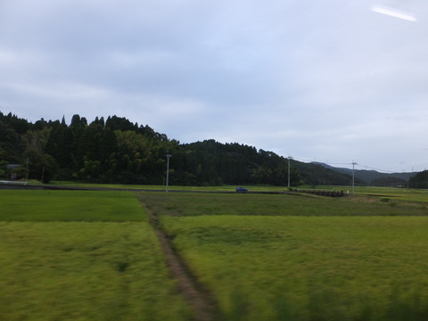 DSCF6780