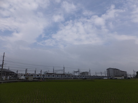 DSCF2807