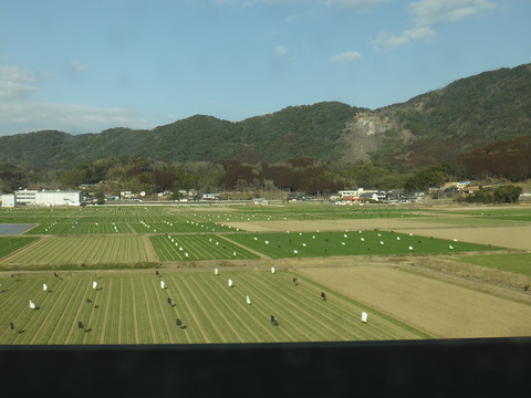 DSCF3141
