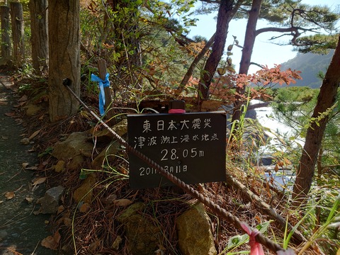 20231102_093315