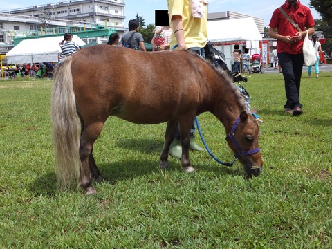 DSCF2501
