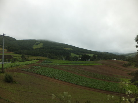 DSCF0003