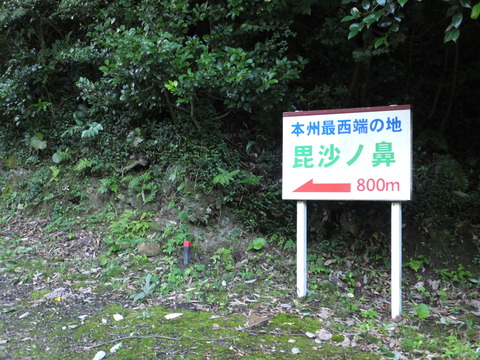 DSCF8989