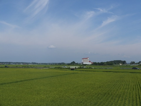 DSCF9941
