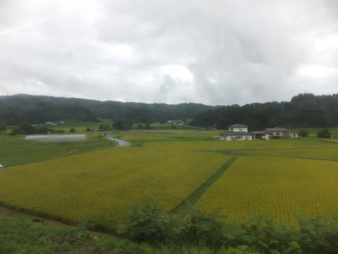 DSCF0917