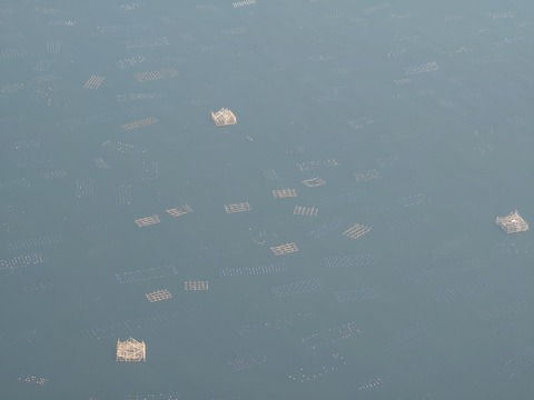 20241011_102101