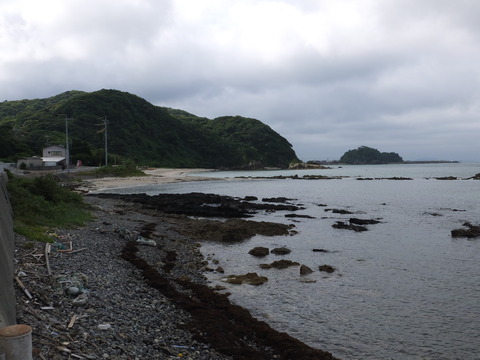 DSCF9067