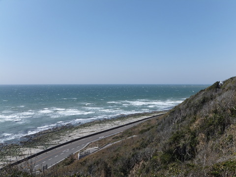 DSCF5786