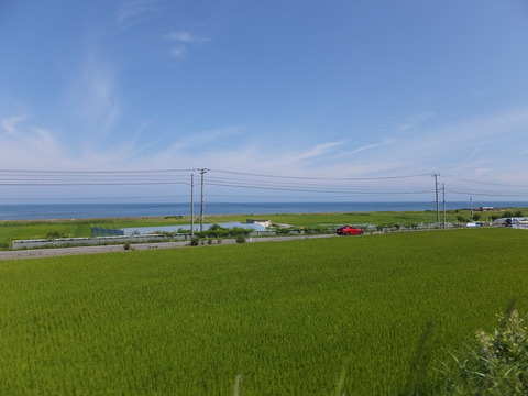 DSCF9919