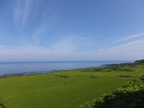 DSCF9772