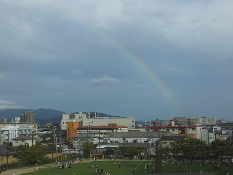 DSCF6984