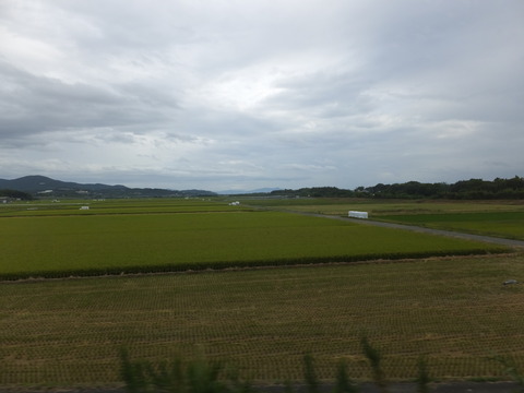 DSCF6811