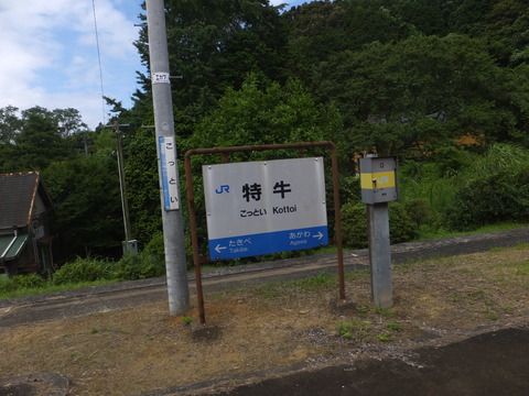 DSCF9146