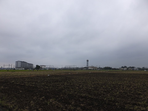 DSCF2649