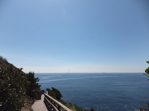 DSCF4253