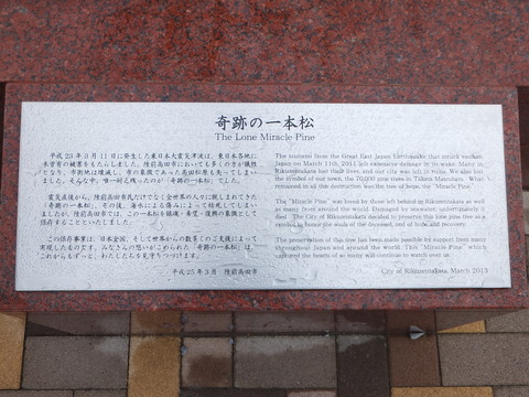 DSCF0804