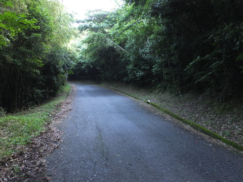 DSCF8993