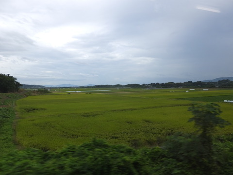 DSCF6804