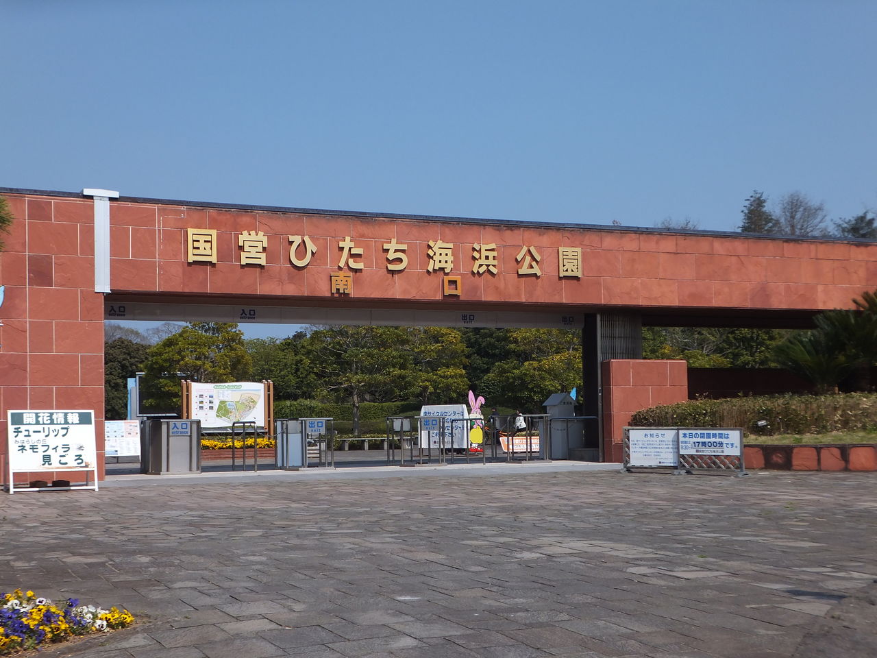 ひたち海浜公園 ネモフィラハーモニー 基本は日帰りですよ ひたち海浜公園 ネモフィラハーモニー 基本は日帰りですよ