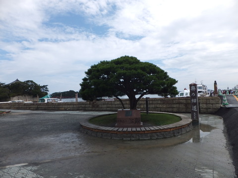 DSCF1139