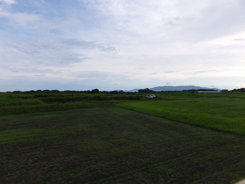 DSCF0257