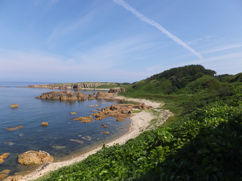 DSCF9808