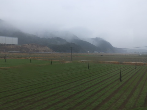 DSCF3721