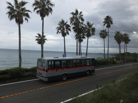 DSCF6790