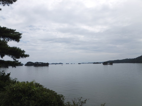DSCF1146