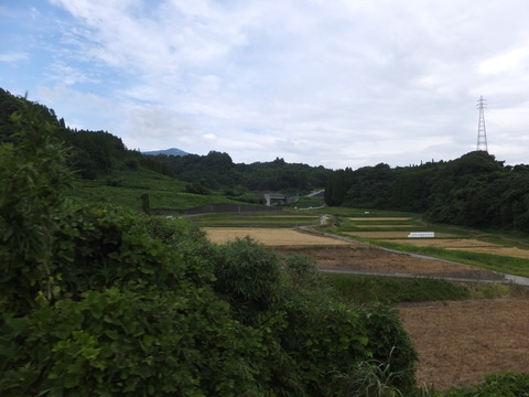 DSCF6885