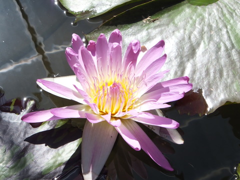 DSCF4024