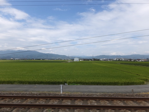 DSCF6871
