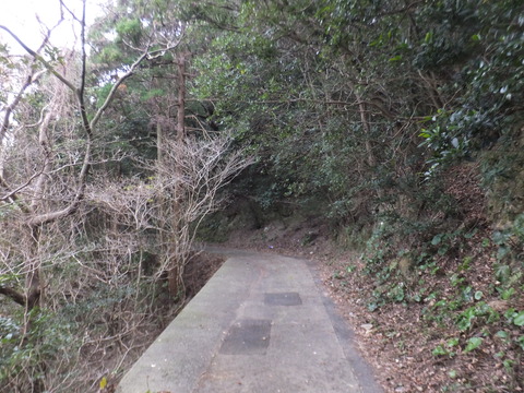 DSCF2607