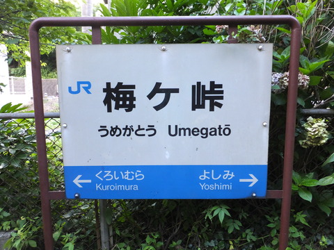 DSCF8967