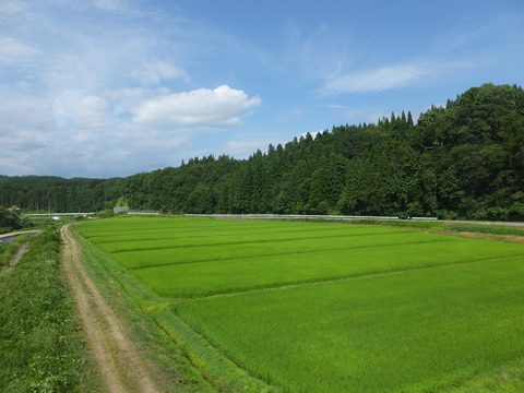 DSCF9573
