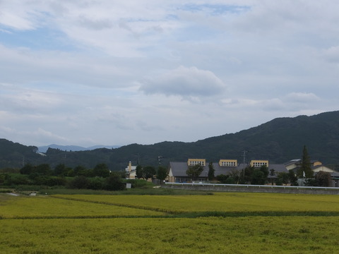 DSCF6907
