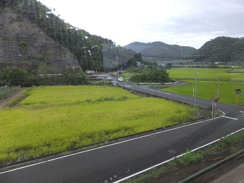DSCF6831