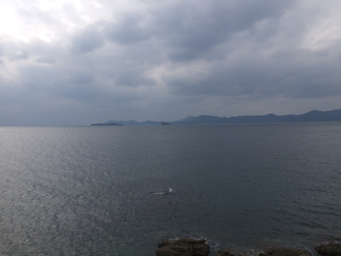 DSCF2655