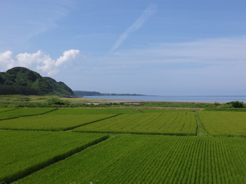 DSCF9845