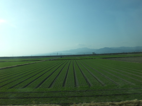 DSCF2908