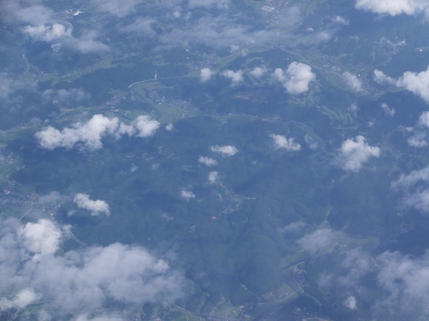DSCF6961