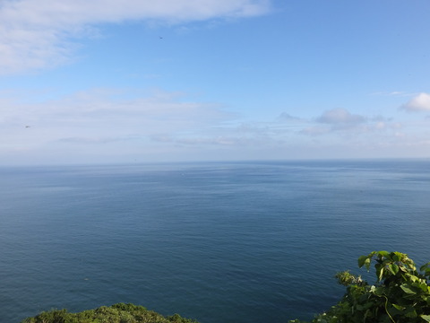 DSCF9012