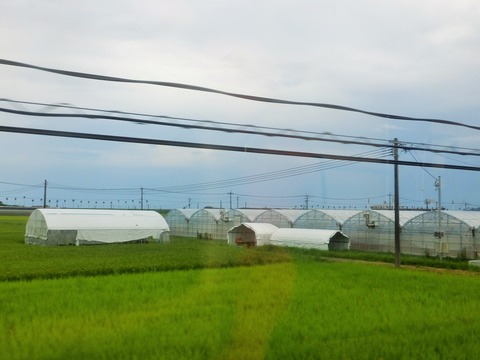 DSCF0216