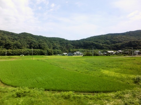 DSCF0020